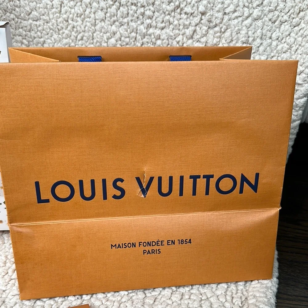 100% authentic Louis Vuitton shopping bags - Picture 6 of 7